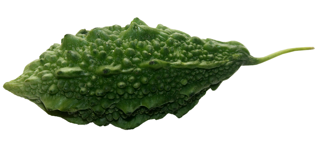 Bittergourd, fresh  Bittergourd png, Bittergourd png image, transparent Bittergourd png image, Bittergourd png full hd images download